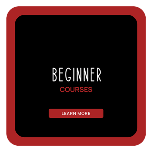 WEBSITE-1